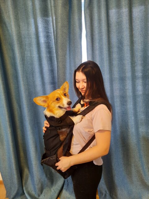 Dog Backpack Carrier