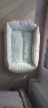 Bed for Cats Pet Products Cushions Kitten Goods Accessories Dog All Houses Supplies Things Accessory Habitats Basket House Beds review