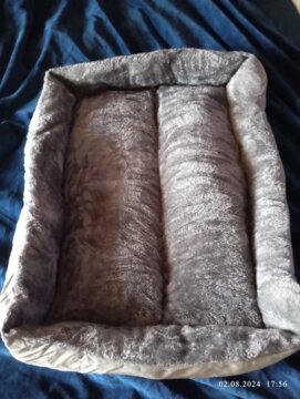 Bed for Cats Pet Products Cushions Kitten Goods Accessories Dog All Houses Supplies Things Accessory Habitats Basket House Beds review