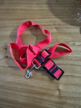 Solid Color Two-in-one Pet Car Seat Belt Nylon Lead Leash Backseat Safety Belt Adjustable Dogs Harness Collar Pet Accessories review