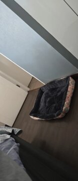 Pet Dog Bed Sofa Mats Pet Products Coussin Chien Animals Accessories Dogs Basket Supplies For Large Medium Small House Cat Bed review