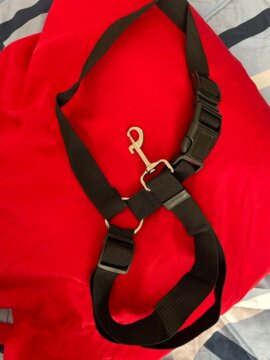 Solid Color Two-in-one Pet Car Seat Belt Nylon Lead Leash Backseat Safety Belt Adjustable Dogs Harness Collar Pet Accessories review