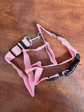 Solid Color Two-in-one Pet Car Seat Belt Nylon Lead Leash Backseat Safety Belt Adjustable Dogs Harness Collar Pet Accessories review