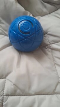 Smart Dog-Cat Toy Ball Electronic Interactive Pet Toy Moving Ball USB Automatic Moving Bouncing for Puppy Birthday Gift Cat Products review