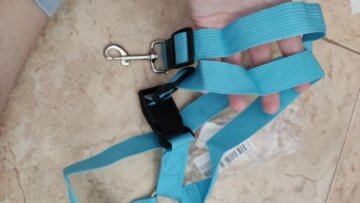 Solid Color Two-in-one Pet Car Seat Belt Nylon Lead Leash Backseat Safety Belt Adjustable Dogs Harness Collar Pet Accessories review
