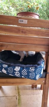 Pet Dog Bed Sofa Mats Pet Products Coussin Chien Animals Accessories Dogs Basket Supplies For Large Medium Small House Cat Bed review