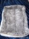 Bed for Cats Pet Products Cushions Kitten Goods Accessories Dog All Houses Supplies Things Accessory Habitats Basket House Beds