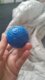 Smart Dog-Cat Toy Ball Electronic Interactive Pet Toy Moving Ball USB Automatic Moving Bouncing for Puppy Birthday Gift Cat Products