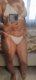 Sexy High Leg Cut Ribbed Bikini Women Swimwear Female Swimsuit Two-pieces Bikini set Padded Bather Bathing Suit