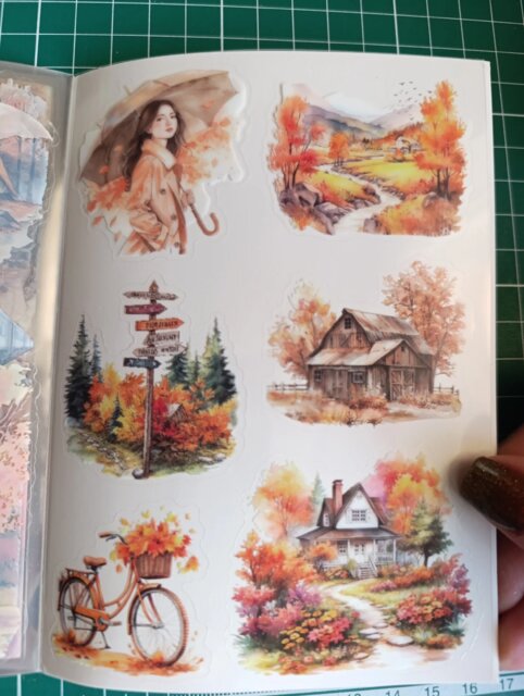 Four Seasons PET Adhesive Sticker Book