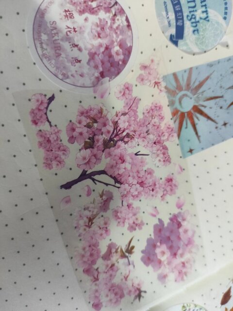 Sakura Bloom PET Tape