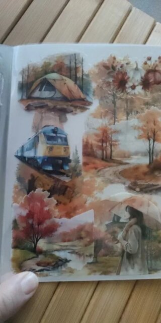Four Seasons PET Adhesive Sticker Book