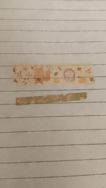 Four Seasons Washi Tape Set