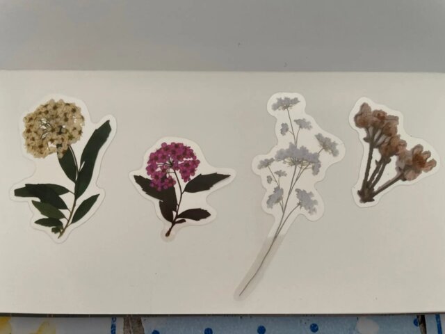 Nature-Inspired PET Transparent Sticker Set