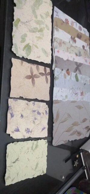 Vintage Botanical Textured Paper Set