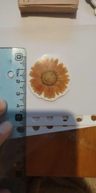 Blooming Nature Vintage Botanical Flower Sticker Set