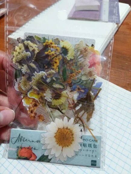 Nature-Inspired PET Transparent Sticker Set