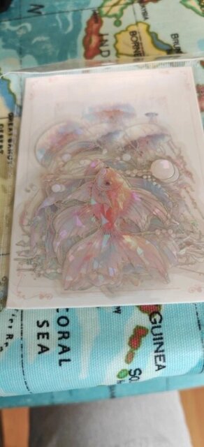 Holographic Jellyfish Sticker Pouch