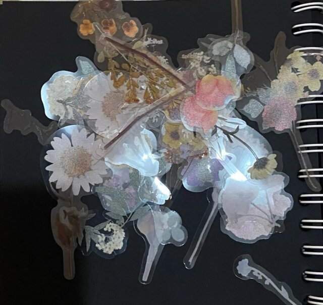 Nature-Inspired PET Transparent Sticker Set