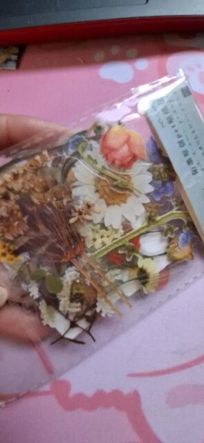 Nature-Inspired PET Transparent Sticker Set