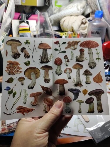 Vintage Nature Rub-On Transfer Stickers