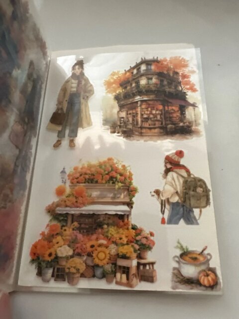Four Seasons PET Adhesive Sticker Book