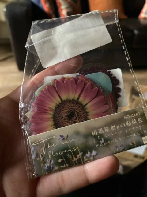 Nature-Inspired PET Transparent Sticker Set