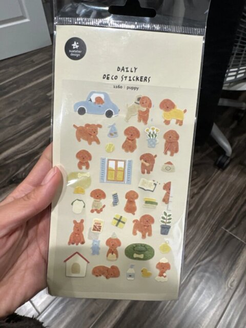 Korean Aesthetic Die-Cut Sticker Sheet