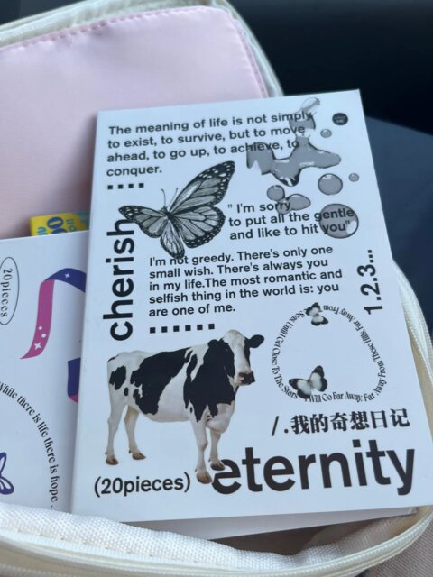 Mystische Momente Stickerbuch