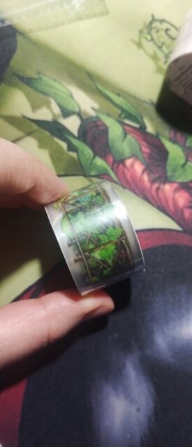 Rustic Charm PET Washi Tape