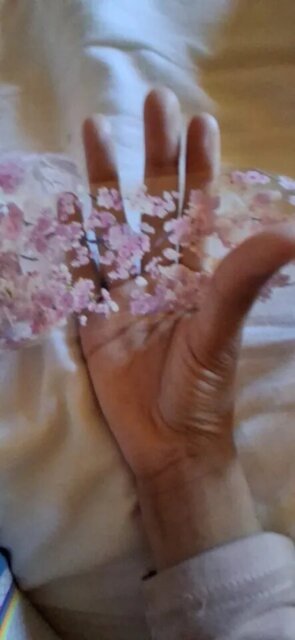 Sakura Bloom PET Tape