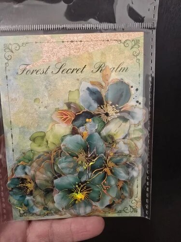 Teresa B.