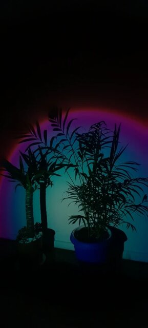 Solstice Sphere Light™