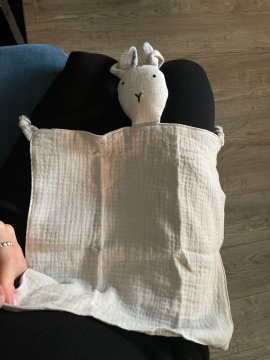 My Teddy Bear Bunny review