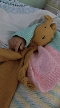 My Teddy Bear Bunny review