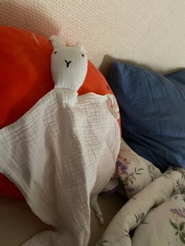 My Teddy Bear Bunny review