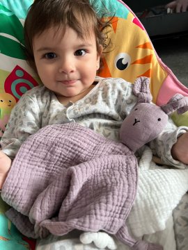 My Teddy Bear Bunny review