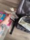 Multi-Storage Diaper Bag - The Chic Adventurer