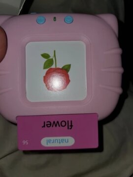 Talking Flash Cards For Toddlers Toy For Kids Preschool Words Learning Cards review