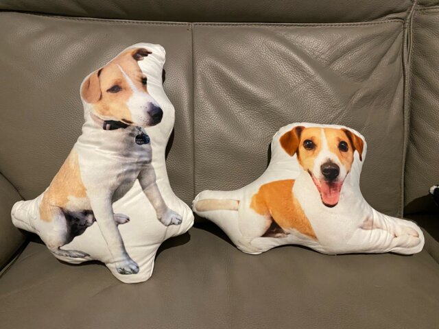 Custom Pet Pillow