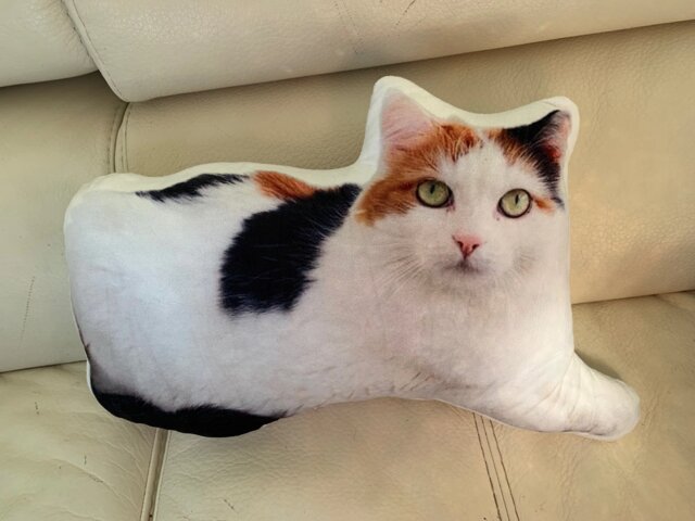 Custom Pet Pillow