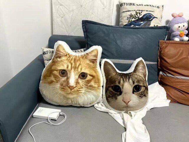 Custom Pet Pillow