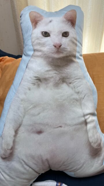 Custom Pet Pillow