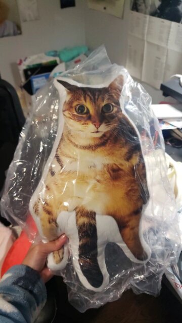 Custom Pet Pillow