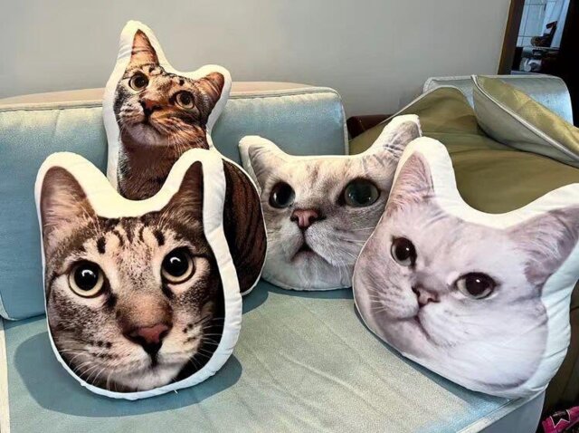 Custom Pet Pillow
