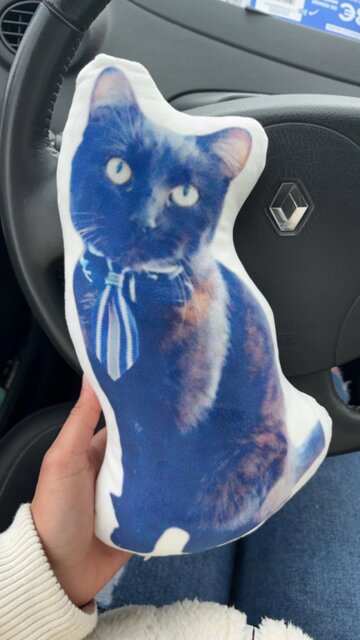 Custom Pet Pillow