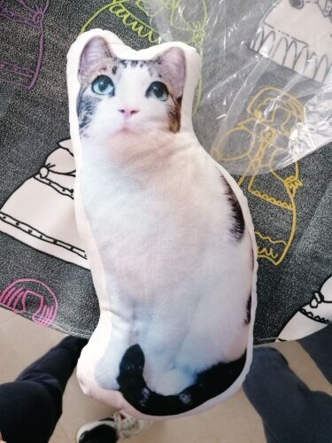 Custom Pet Pillow