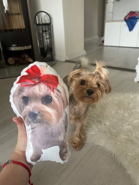 Custom Pet Pillow