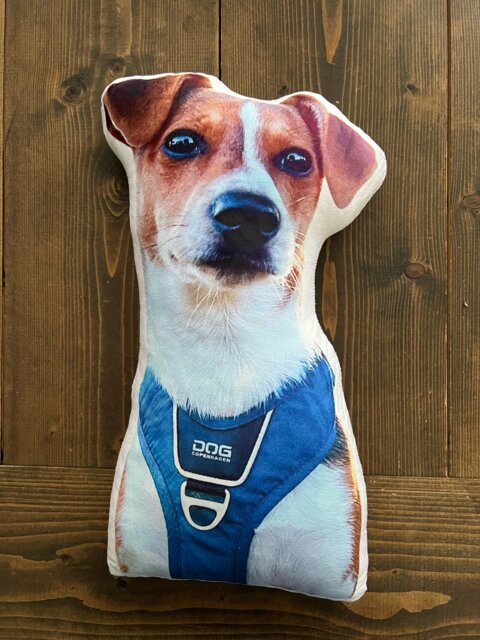 Custom Pet Pillow