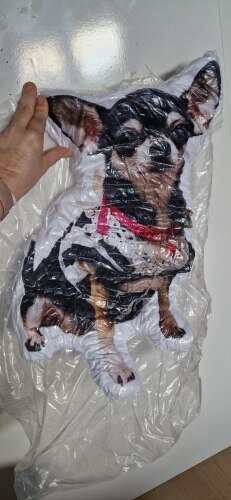 Custom Pet Pillow